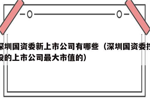 深圳国资委新上市公司有哪些（深圳国资委控股的上市公司最大市值的）