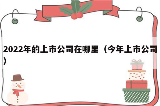 2022年的上市公司在哪里（今年上市公司）