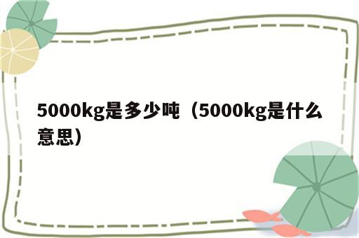 5000kg是多少吨（5000kg是什么意思）