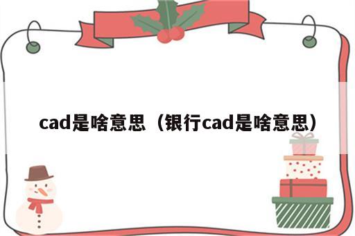 cad是啥意思（银行cad是啥意思）