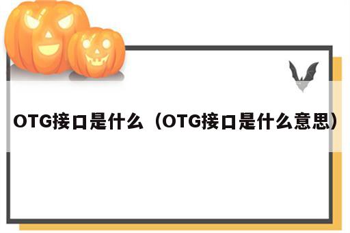 OTG接口是什么（OTG接口是什么意思）