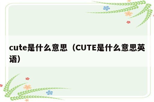 cute是什么意思（CUTE是什么意思英语）