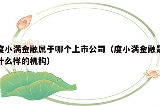 度小满金融属于哪个上市公司（度小满金融是什么样的机构）