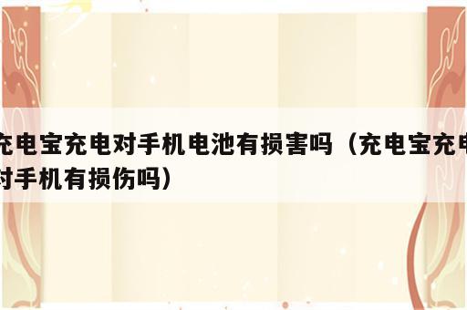 充电宝充电对手机电池有损害吗（充电宝充电对手机有损伤吗）
