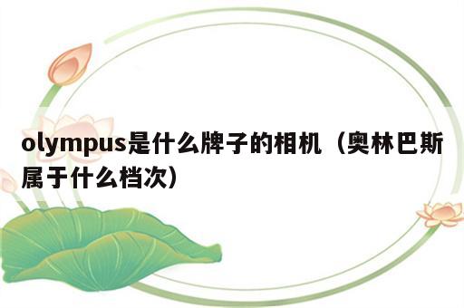 olympus是什么牌子的相机（奥林巴斯属于什么档次）