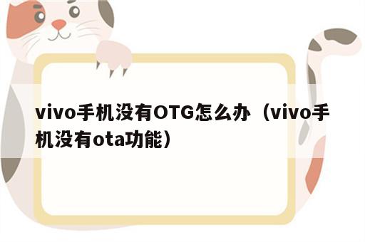 vivo手机没有OTG怎么办（vivo手机没有ota功能）
