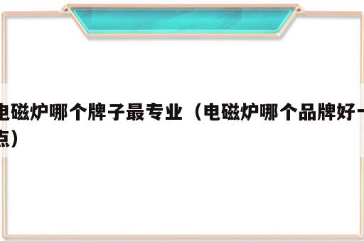 电磁炉哪个牌子最专业（电磁炉哪个品牌好一点）