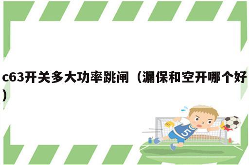c63开关多大功率跳闸（漏保和空开哪个好）