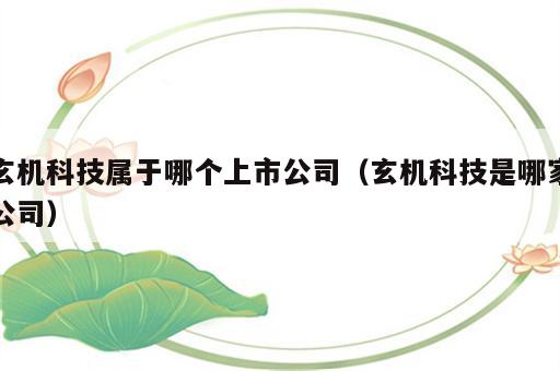 玄机科技属于哪个上市公司（玄机科技是哪家公司）