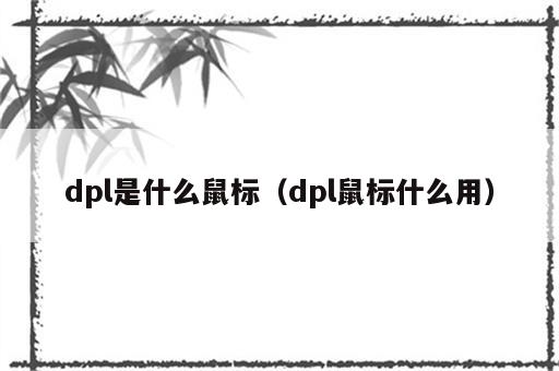 dpl是什么鼠标（dpl鼠标什么用）