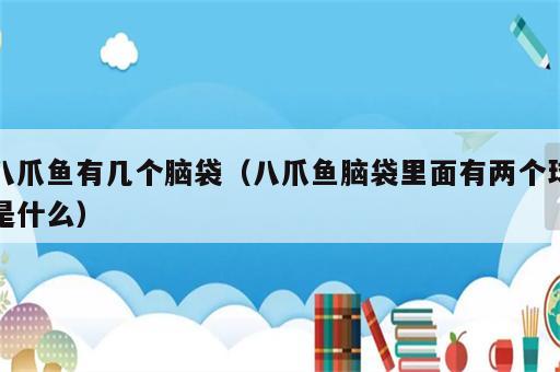 八爪鱼有几个脑袋（八爪鱼脑袋里面有两个球是什么）