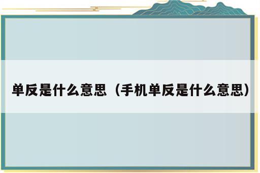 单反是什么意思（手机单反是什么意思）