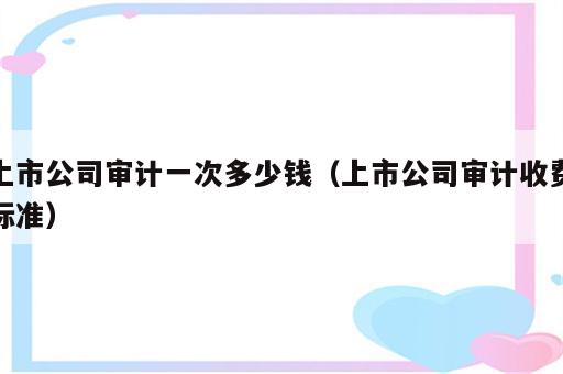 上市公司审计一次多少钱（上市公司审计收费标准）