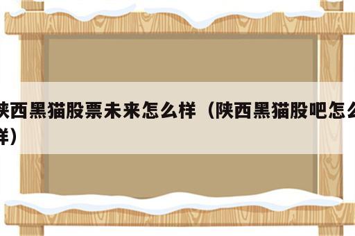 陕西黑猫股票未来怎么样（陕西黑猫股吧怎么样）