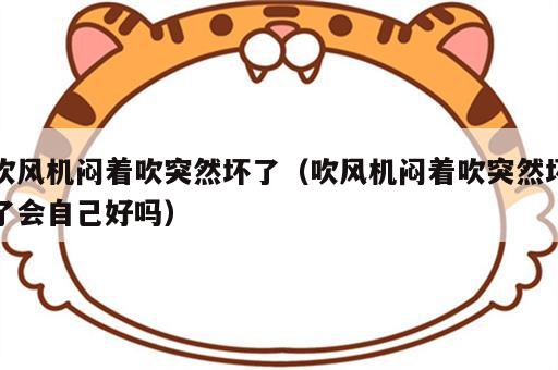 吹风机闷着吹突然坏了（吹风机闷着吹突然坏了会自己好吗）