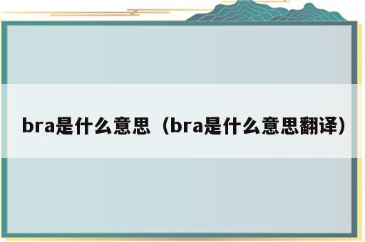 bra是什么意思（bra是什么意思翻译）