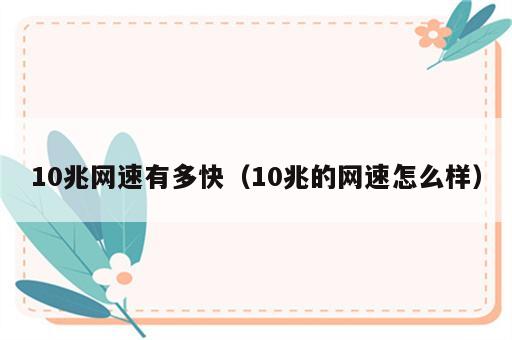 10兆网速有多快（10兆的网速怎么样）