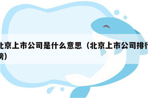 北京上市公司是什么意思（北京上市公司排行榜）