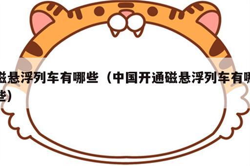 磁悬浮列车有哪些（中国开通磁悬浮列车有哪些）