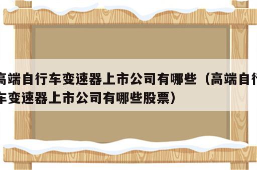 高端自行车变速器上市公司有哪些（高端自行车变速器上市公司有哪些股票）