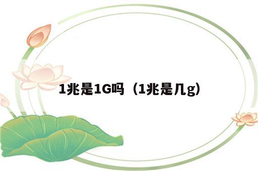 1兆是1G吗（1兆是几g）