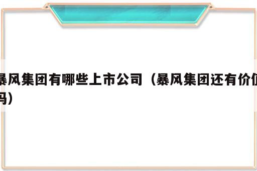 暴风集团有哪些上市公司（暴风集团还有价值吗）