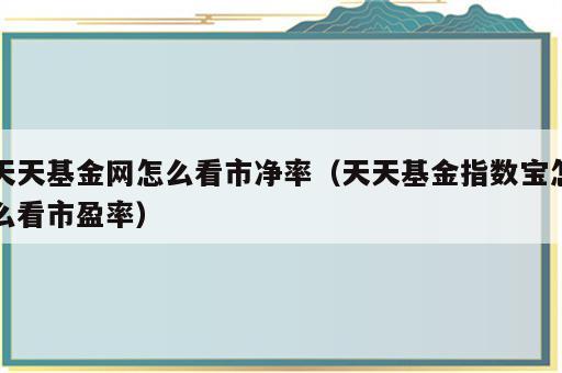 天天基金网怎么看市净率（天天基金指数宝怎么看市盈率）