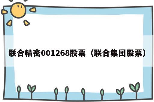 联合精密001268股票（联合集团股票）