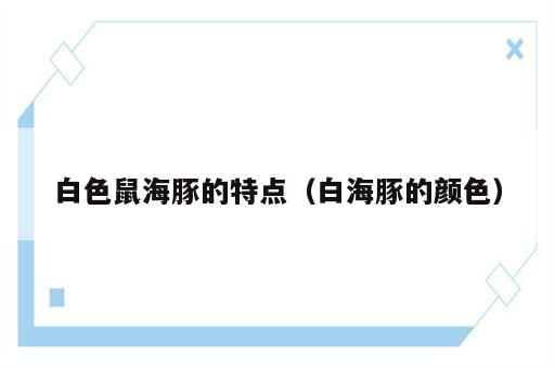 白色鼠海豚的特点（白海豚的颜色）