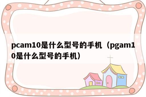 pcam10是什么型号的手机（pgam10是什么型号的手机）