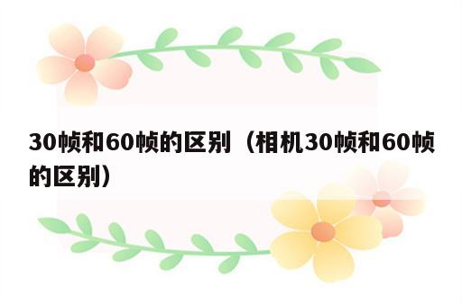 30帧和60帧的区别（相机30帧和60帧的区别）