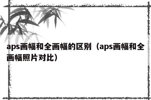 aps画幅和全画幅的区别（aps画幅和全画幅照片对比）