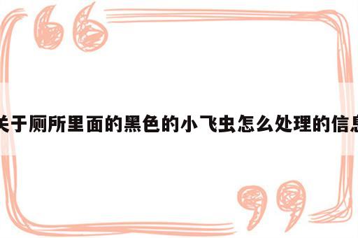 关于厕所里面的黑色的小飞虫怎么处理的信息