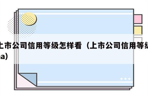 上市公司信用等级怎样看（上市公司信用等级aa）