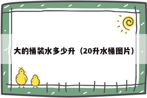 大的桶装水多少升（20升水桶图片）