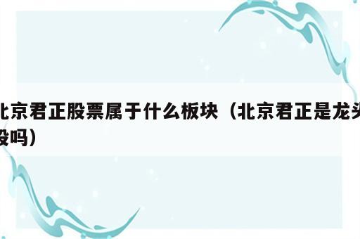 北京君正股票属于什么板块（北京君正是龙头股吗）