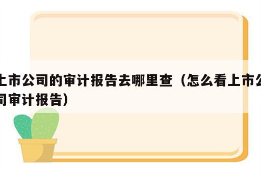 上市公司的审计报告去哪里查（怎么看上市公司审计报告）