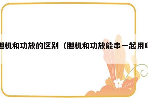 胆机和功放的区别（胆机和功放能串一起用吗）