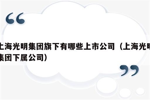 上海光明集团旗下有哪些上市公司（上海光明集团下属公司）