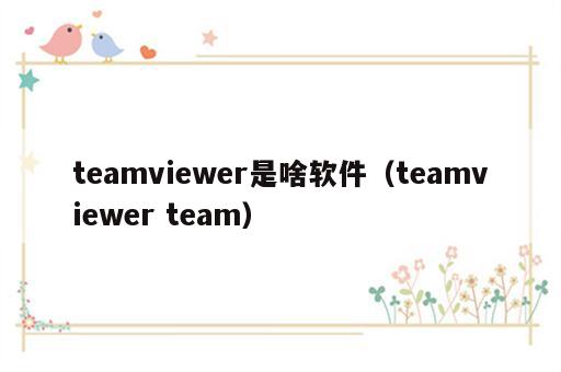 teamviewer是啥软件（teamviewer team）