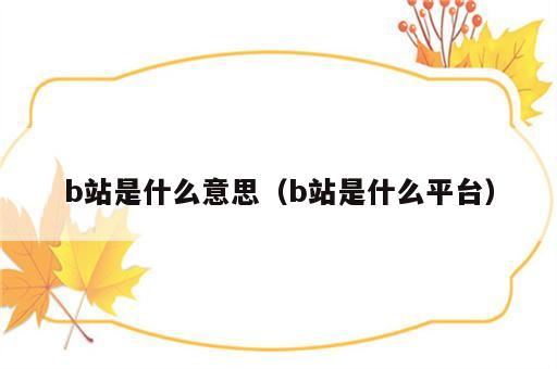 b站是什么意思（b站是什么平台）
