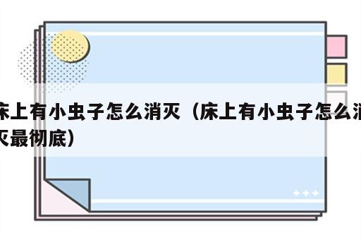 床上有小虫子怎么消灭（床上有小虫子怎么消灭最彻底）