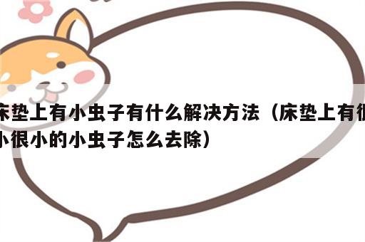 床垫上有小虫子有什么解决方法（床垫上有很小很小的小虫子怎么去除）