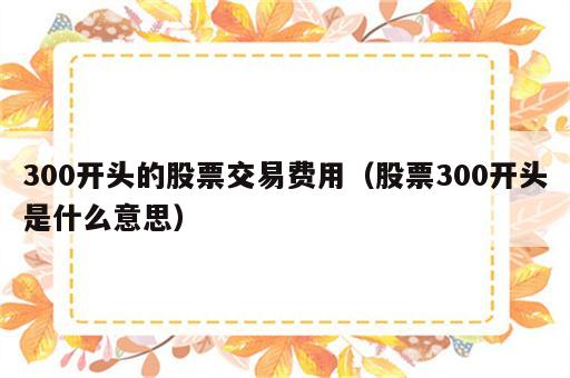 300开头的股票交易费用（股票300开头是什么意思）