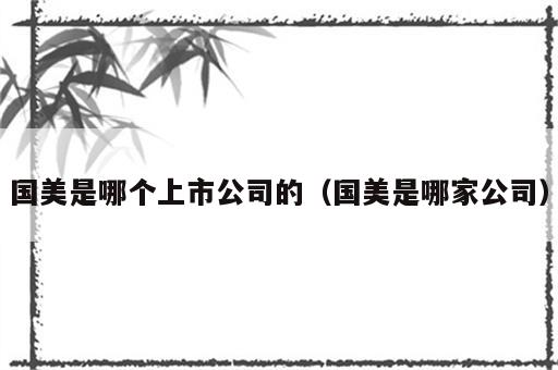 国美是哪个上市公司的（国美是哪家公司）