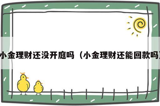小金理财还没开庭吗（小金理财还能回款吗）