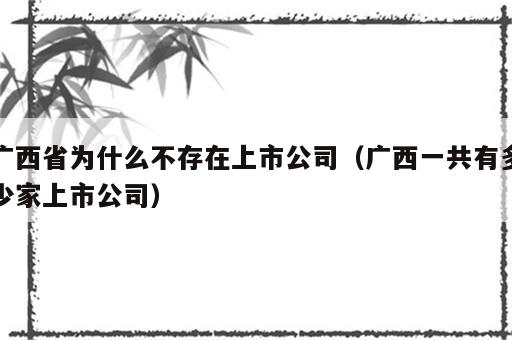 广西省为什么不存在上市公司（广西一共有多少家上市公司）
