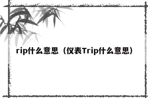 rip什么意思（仪表Trip什么意思）