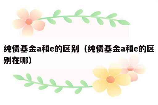 纯债基金a和e的区别（纯债基金a和e的区别在哪）