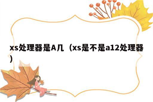 xs处理器是A几（xs是不是a12处理器）